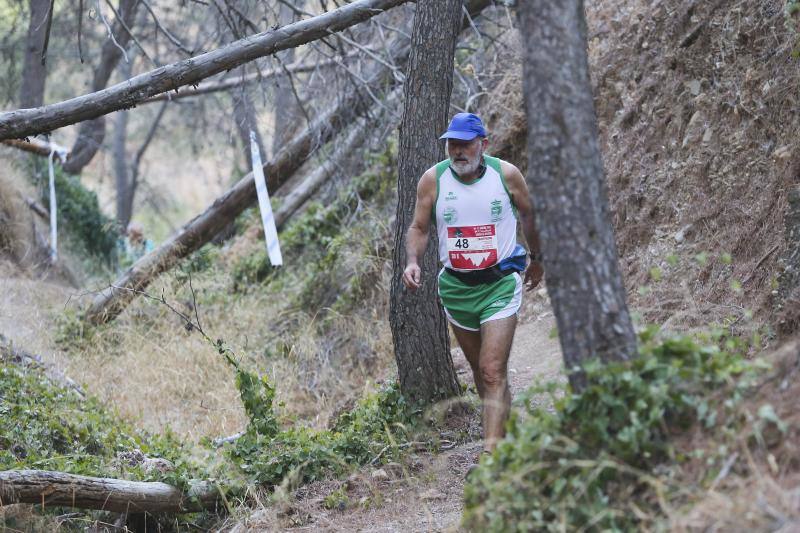 Más de 600 personas toman parte en la prueba, celebrada en Los Montes