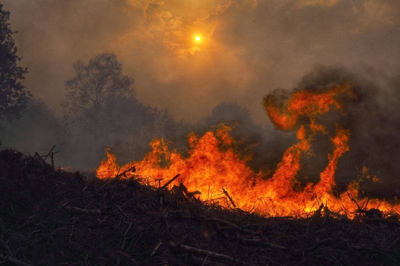 Unos 350 brigadas, 220 motobombas, cuarenta palas y una veintena de medios aéreos trabajan en la comunidad gallega para combatir los incendios que arrasan más de 4.000 hectáreas en 146 nuevos focos desde el viernes