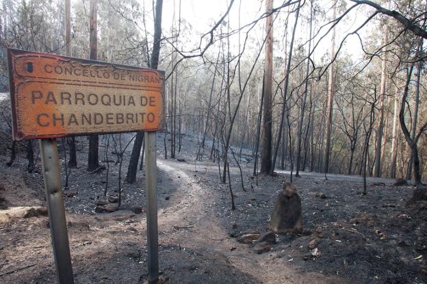 Cartel de entrada a la aldea de Chandebrito (Pontevedra), donde fallecieron dos de las cuatro víctimas de los incendios forestales en Galicia. :: salvador sas / efe