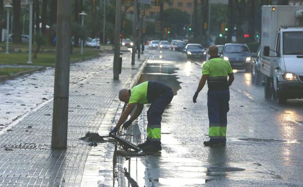 Operarios revisan una de las alcantarillas.