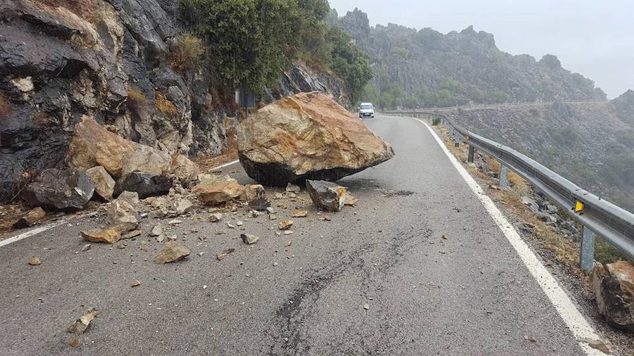 Roca caída en la carretera. 