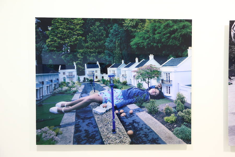 Las piezas de la muestra