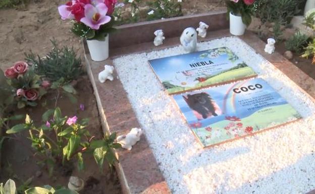 Un cementerio recuerda de forma especial a las mascotas