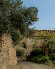 Imagen secundaria 2 - Carril hormigonado por el que se deja atrás el arroyo Granadillas. La ruta comienza a adentrarse en el monte rinconero. Antiguo cortijo junto al camino.
