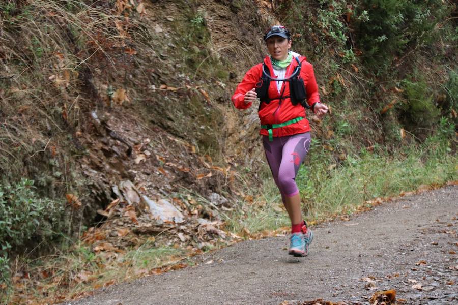 Casi 700 deportistas se dan cita en esta prueba deportiva con salida y meta en Algatocín