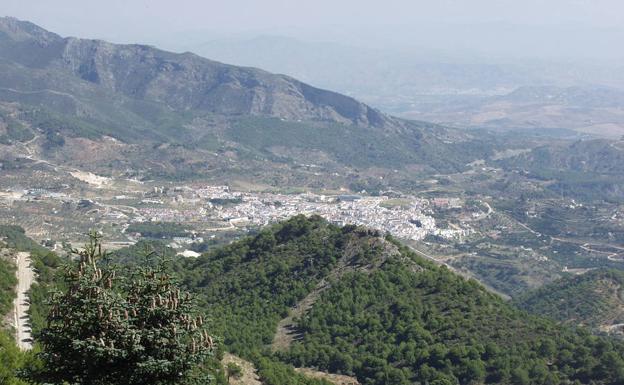 Vista de Yunquera y su pinsapar