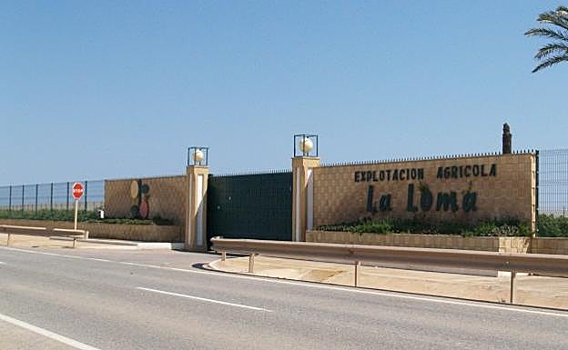 La Sala de 'Malaya' autoriza la venta de una finca de Murcia de Juan Antonio Roca