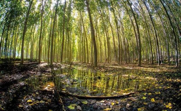 'Paisajes con alma' exhibe el trabajo de 30 creadores de Murcia