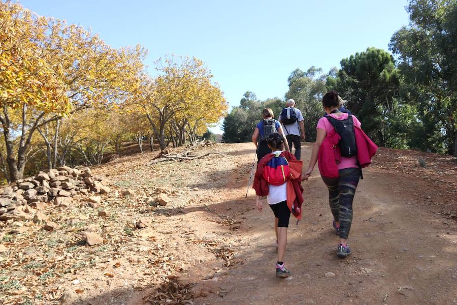 Los castaños, antes de perder sus hojas, tiñen de ocres, dorados, marrones y amarillos el Valle