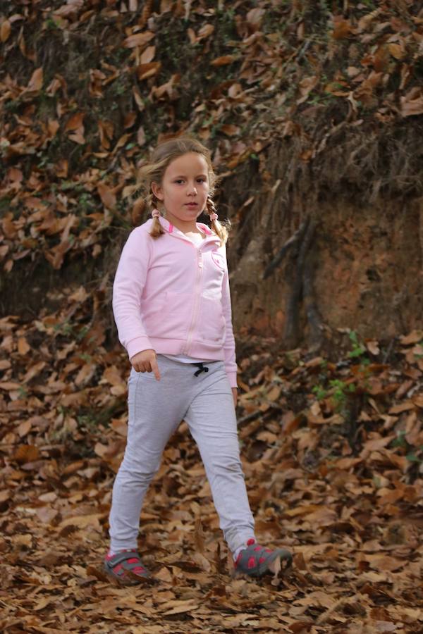 Los castaños, antes de perder sus hojas, tiñen de ocres, dorados, marrones y amarillos el Valle