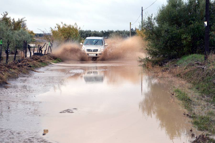 El suceso, por las fuertes lluvias, se ha producido cerca de un tramo cortado por las lluvias entre Arahal y El Sorbito, a la altura del kilómetro 19 de la vía