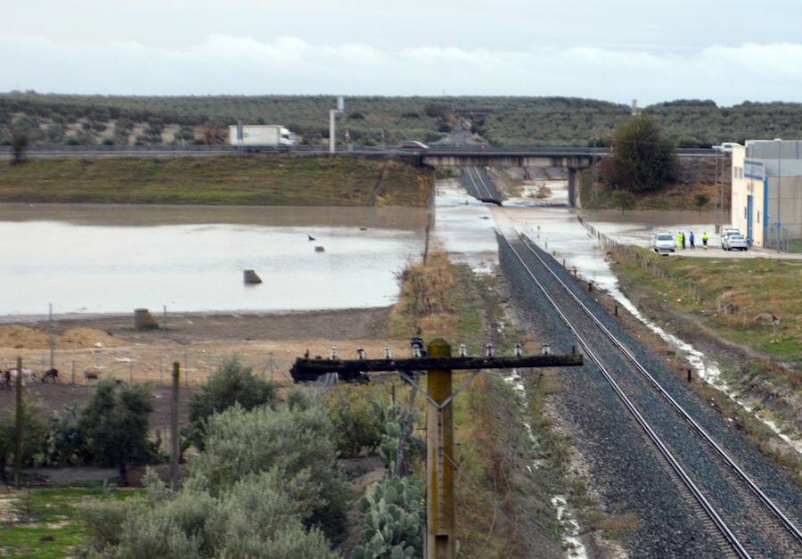 El suceso, por las fuertes lluvias, se ha producido cerca de un tramo cortado por las lluvias entre Arahal y El Sorbito, a la altura del kilómetro 19 de la vía