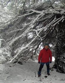 Imagen secundaria 2 - Manto blanco este lunes en la Sierra de las Nieves. 