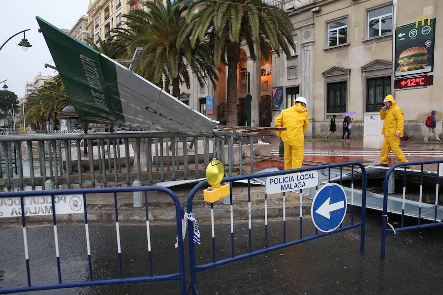 La caída de dos árboles ha obligado a cerrar el tráfico del paseo de los Curas y un lateral de la Alameda Principal