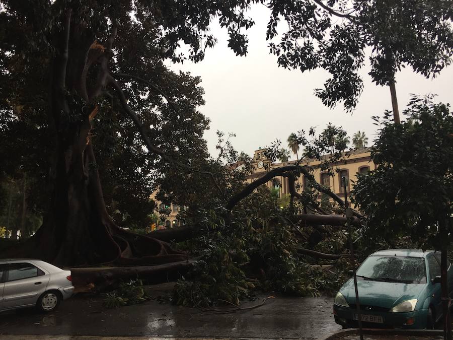 Lunes complicado en la provincia, que sigue en aviso naranja por fuertes rachas de viento