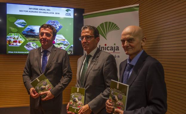 Málaga está entre las cinco provincias andaluzas donde creció la renta agraria en 2016
