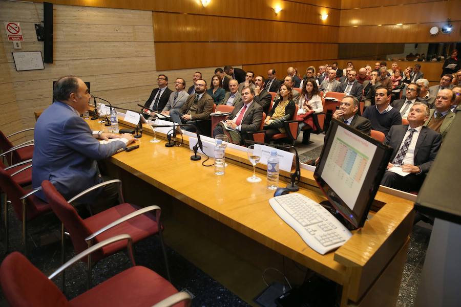 Expertos destacan que la producción de aceite de oliva se multiplica y el Puerto de Málaga será clave para su exportación