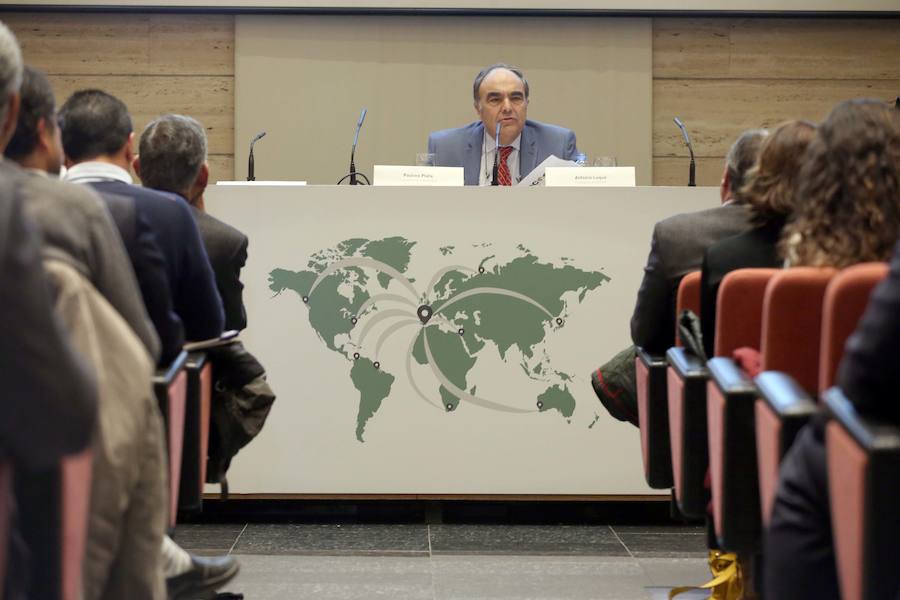 Expertos destacan que la producción de aceite de oliva se multiplica y el Puerto de Málaga será clave para su exportación