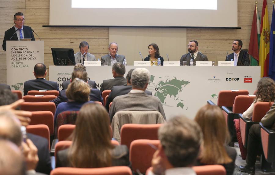 Expertos destacan que la producción de aceite de oliva se multiplica y el Puerto de Málaga será clave para su exportación