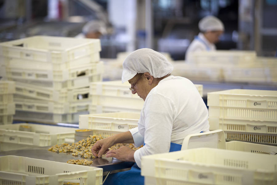 Así se consigue conservar el sabor de las rías gallegas