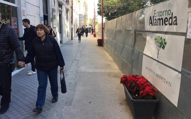 Metro Málaga ha instalado doce maceteros con flores de pascua en la Alameda Principal. 