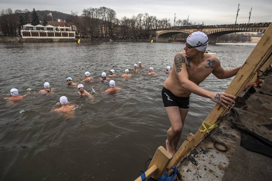 Varios bañistas desafiaron las gélidas temperaturas para participar en la 71 edición de la tradicional carrera Alfred Nikodem que se desarrolla en las frías aguas del río Moldava en su paso por Praga.