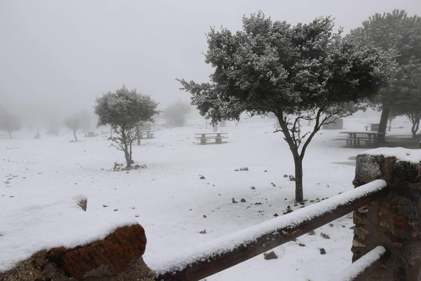 Ronda, Antequera y Alfarnate se cubren bajo un manto blanco