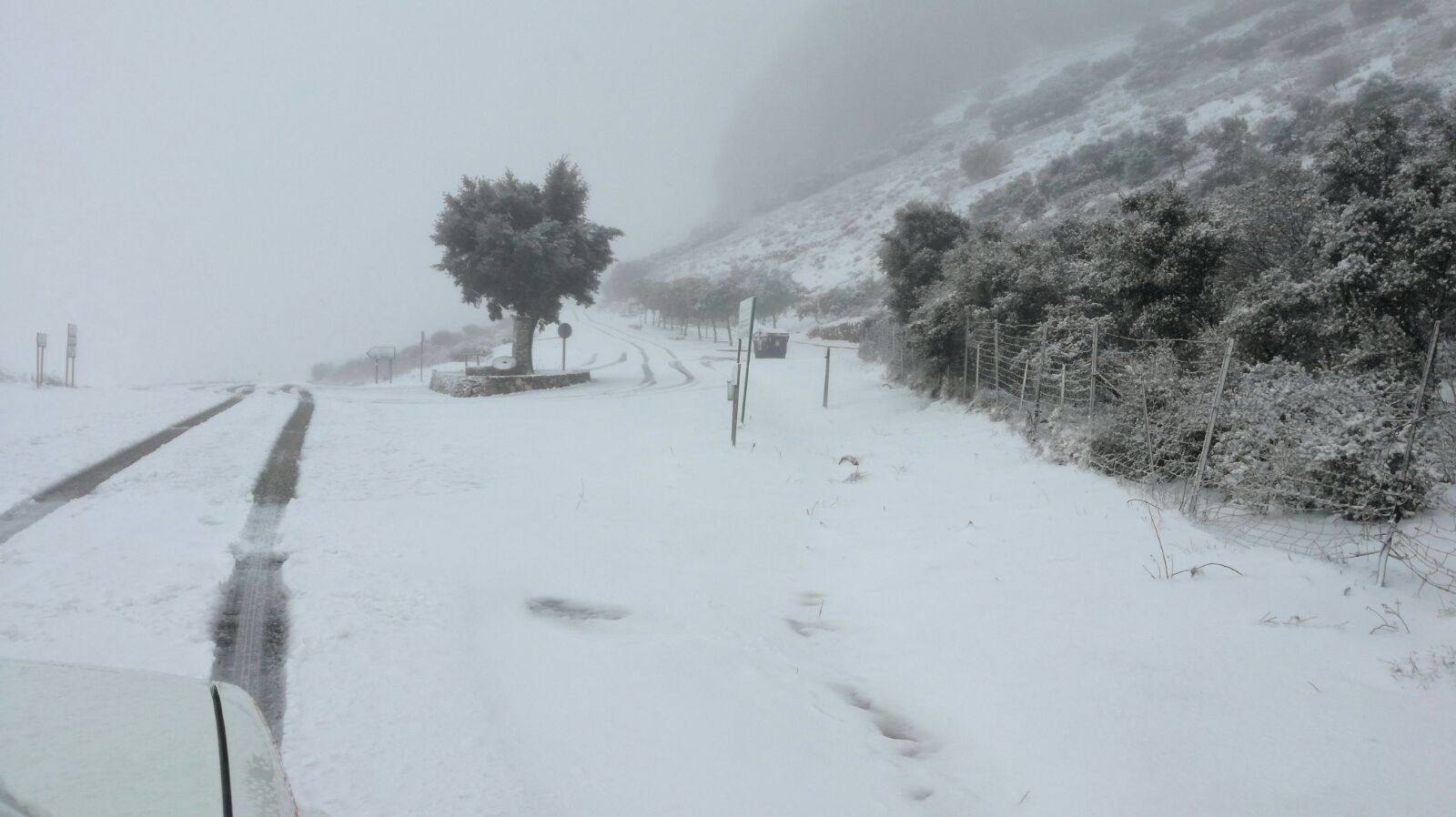 Ronda, Antequera y Alfarnate se cubren bajo un manto blanco