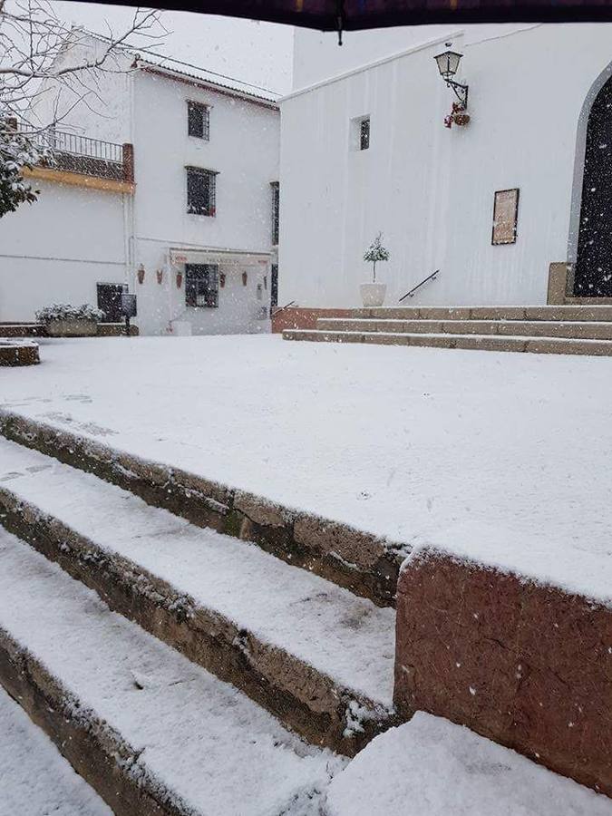 Ronda, Antequera y Alfarnate se cubren bajo un manto blanco