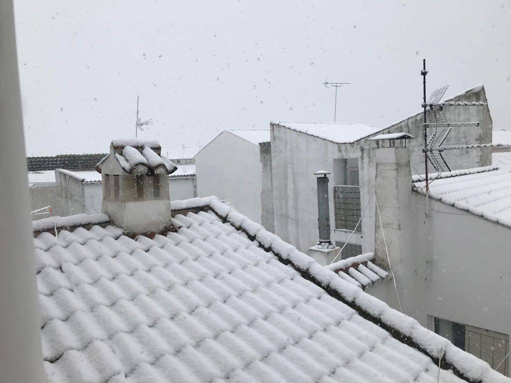 Ronda, Antequera y Alfarnate se cubren bajo un manto blanco