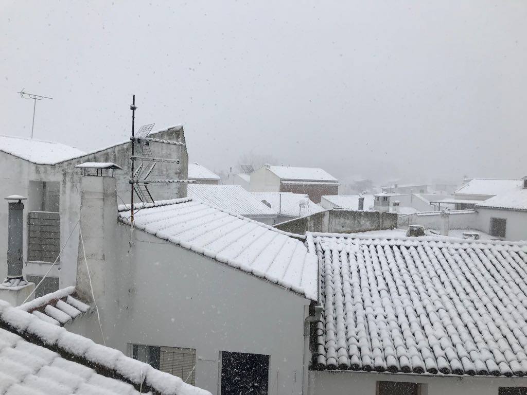 Ronda, Antequera y Alfarnate se cubren bajo un manto blanco