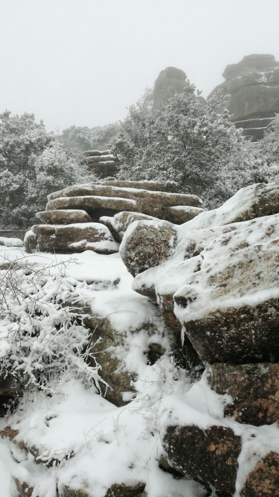 Ronda, Antequera y Alfarnate se cubren bajo un manto blanco