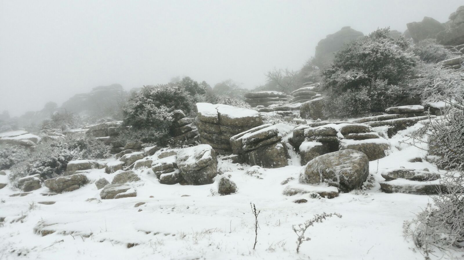 Ronda, Antequera y Alfarnate se cubren bajo un manto blanco