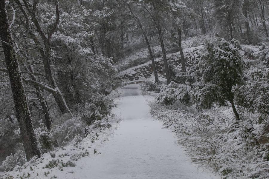 Un manto blanco ha cubierto esta zona de la capital este lunes