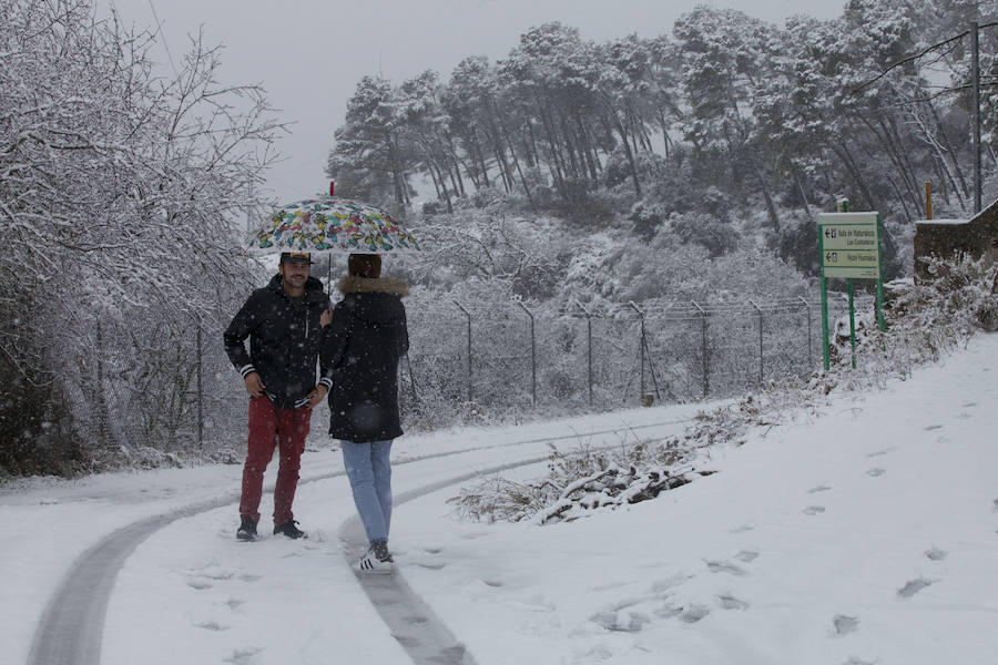 Un manto blanco ha cubierto esta zona de la capital este lunes