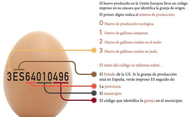 Gráfico del Instituto de Estudios del Huevo.