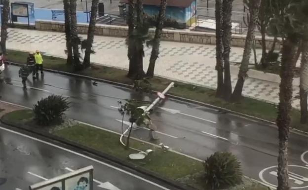 Así ha caído una farola en el paseo marítimo de la Malagueta