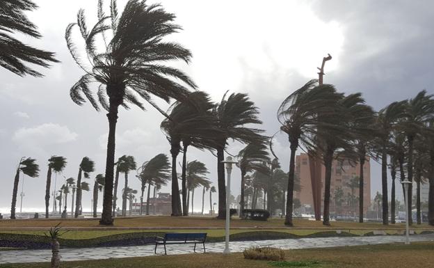 Málaga en aviso naranja por fuertes vientos y fenómenos costeros