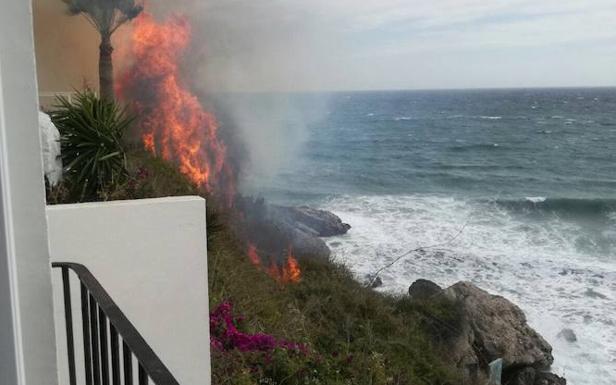 El fuego ha calcinado unos dos mil metros cuadrados de cañaveral. 