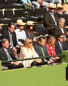 Imagen secundaria 2 - Aficionados españoles llegados de diferentes puntos del país. El banquillo español, con Davidovich. Las autoridades, con Lete..