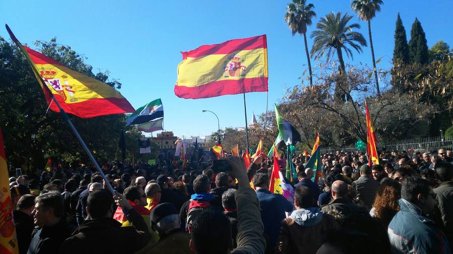 La marcha se celebró en Sevilla