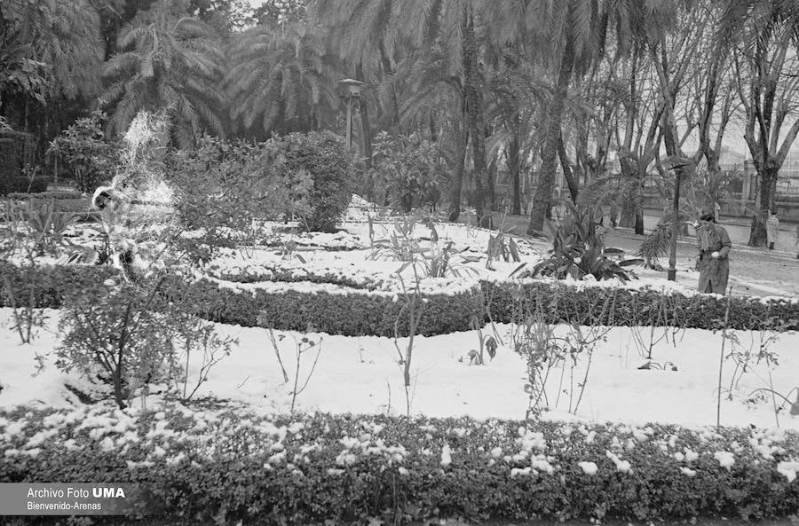 El 3 de febrero de 1954 es una fecha que ha quedado en el recuerdo de la capital. Aquel día se dieron las condiciones necesarias para que la nieve cuajara en Málaga y quedara una estampa que no se ha vuelto a repetir desde esa fecha.