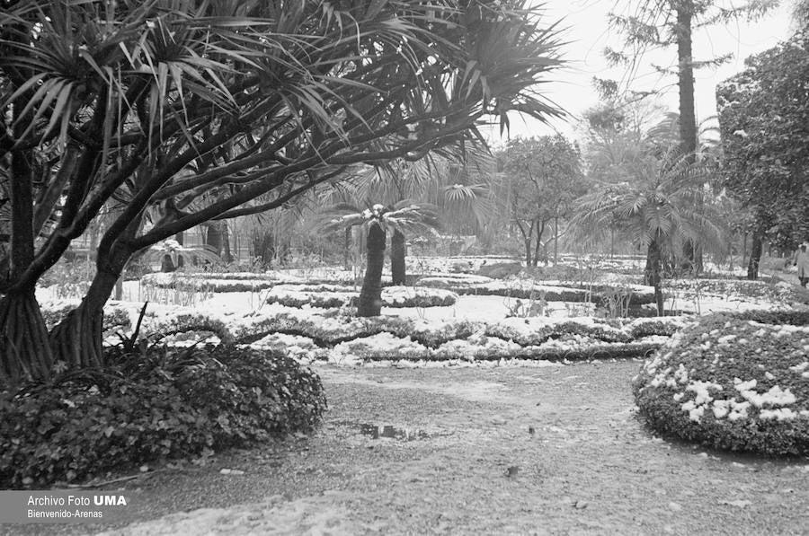 El 3 de febrero de 1954 es una fecha que ha quedado en el recuerdo de la capital. Aquel día se dieron las condiciones necesarias para que la nieve cuajara en Málaga y quedara una estampa que no se ha vuelto a repetir desde esa fecha.