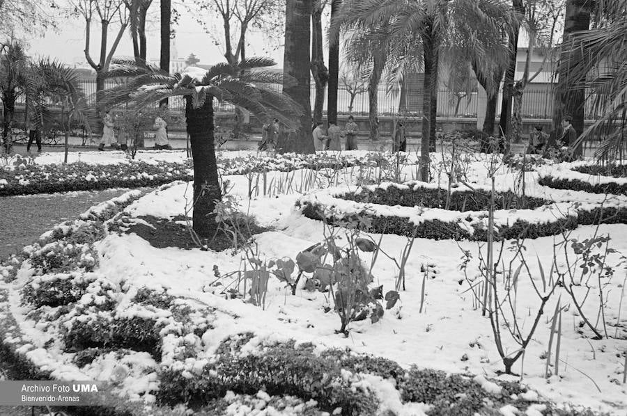 El 3 de febrero de 1954 es una fecha que ha quedado en el recuerdo de la capital. Aquel día se dieron las condiciones necesarias para que la nieve cuajara en Málaga y quedara una estampa que no se ha vuelto a repetir desde esa fecha.