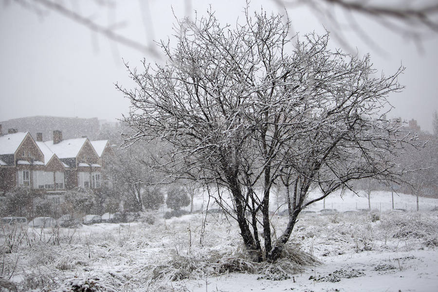 Temporal de nieve en Madrid 