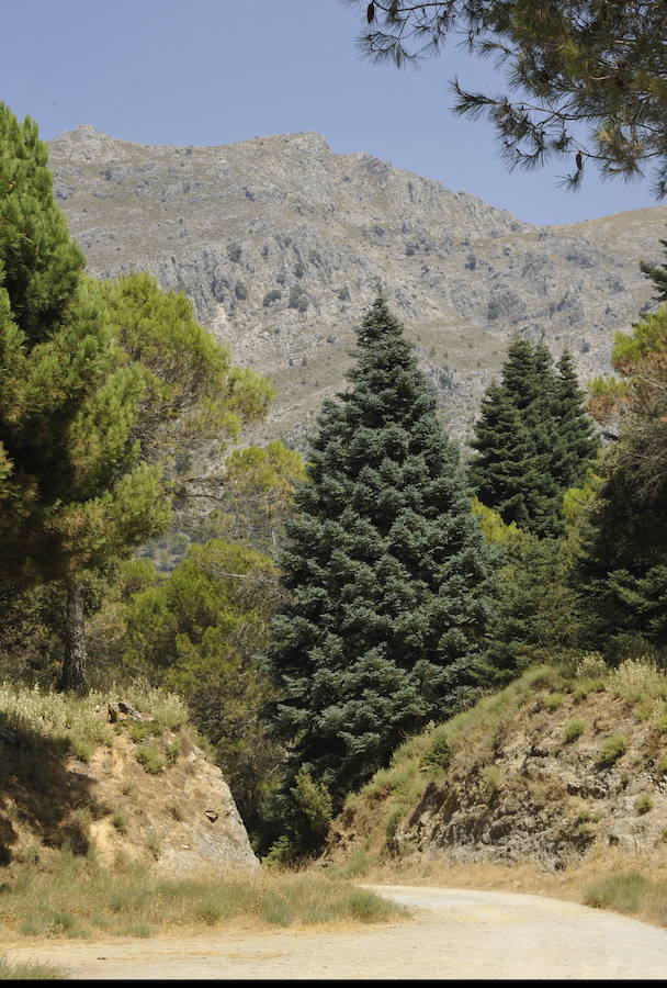 El Gobierno lo ha declarado Parque Nacional 