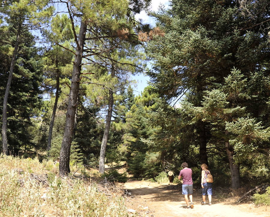 El Gobierno lo ha declarado Parque Nacional 