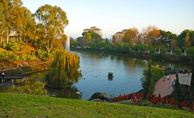 7. Parque de la Paloma (Benalmádena). Si buscas animales el de La Paloma es tu parque, otro de los más populares de Málaga. Se ubica en la zona de Arroyo de la Miel y es otra opción perfecta para disfrutar en familia. Cuenta con un gran lago con patos, cisnes, gansos y peces. Además, paseando entre sus jardines es fácil ver conejos enanos, gallinas, pavos reales o patos y en entornos vallados podemos ver cabras montesas o avestruces.