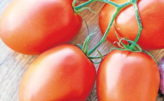 Crean un bioplástico con piel de tomate para hacer menos dañino el interior de las latas de comida