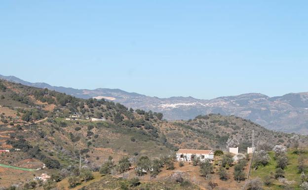 Imagen principal - En los puntos más elevados del recorrido se ven pueblos del entorno | Aunque predominan los olivos y los almendros, también hay arboleda forestal | Baliza que confirma el camino